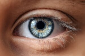 A close-up of a bright blue eye.